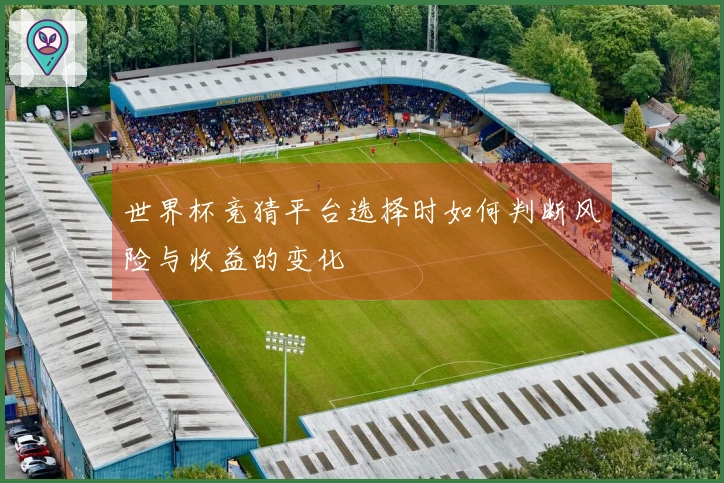 世界杯竞猜平台选择时如何判断风险与收益的变化