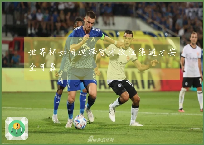 世界杯如何选择官方投注渠道才安全可靠