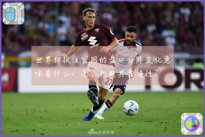 世界杯投注官网的盘口升降变化意味着什么，怎么判断其靠谱性？