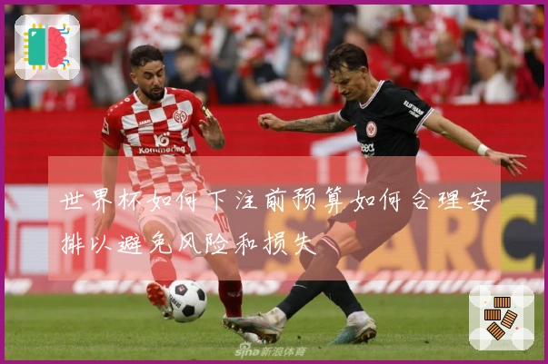 世界杯如何下注前预算如何合理安排以避免风险和损失