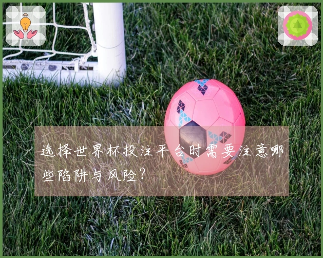 选择世界杯投注平台时需要注意哪些陷阱与风险？