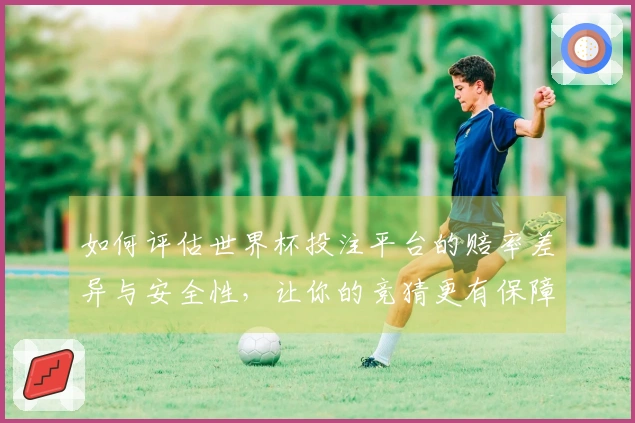 如何评估世界杯投注平台的赔率差异与安全性，让你的竞猜更有保障