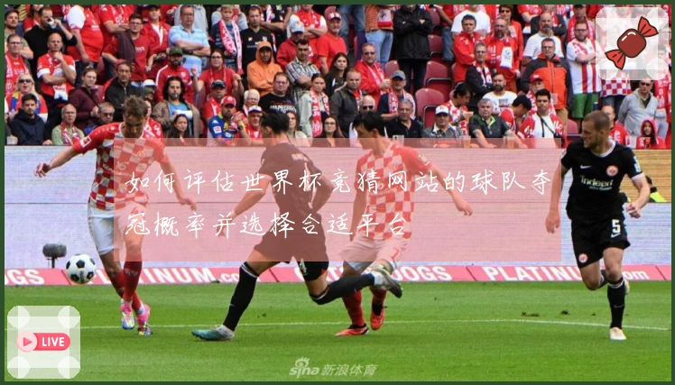 如何评估世界杯竞猜网站的球队夺冠概率并选择合适平台