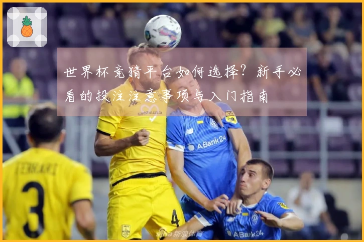 世界杯竞猜平台如何选择？新手必看的投注注意事项与入门指南