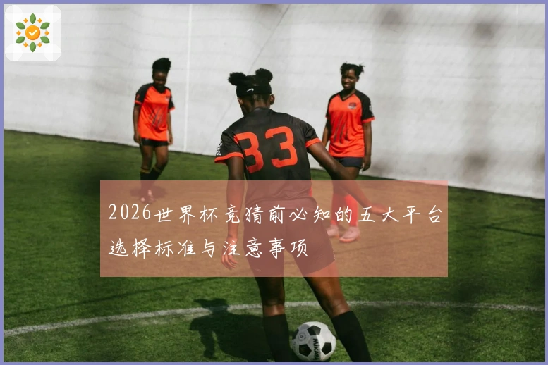 2026世界杯竞猜前必知的五大平台选择标准与注意事项