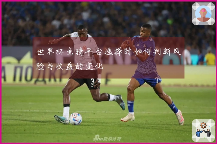 世界杯竞猜平台选择时如何判断风险与收益的变化