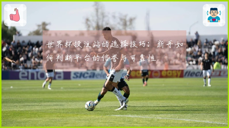 世界杯投注站的选择技巧：新手如何判断平台的信誉与可靠性