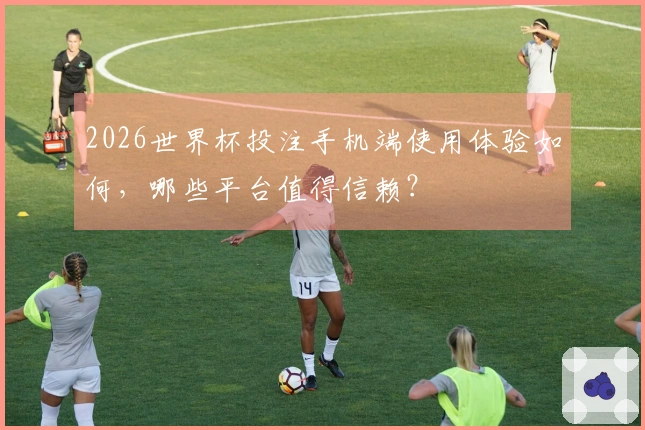 2026世界杯投注手机端使用体验如何，哪些平台值得信赖？