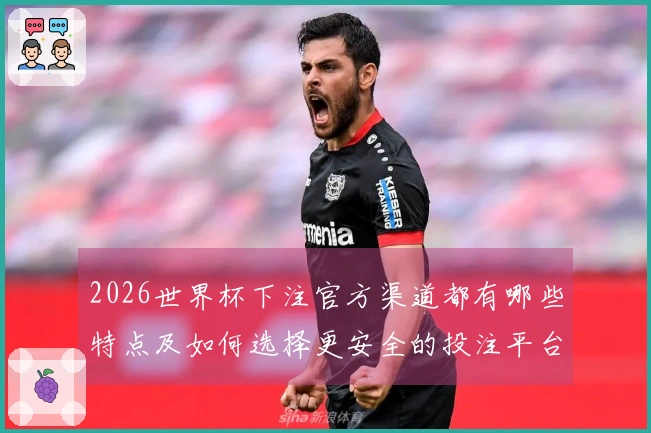 2026世界杯下注官方渠道都有哪些特点及如何选择更安全的投注平台