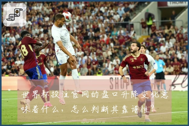 世界杯投注官网的盘口升降变化意味着什么，怎么判断其靠谱性？