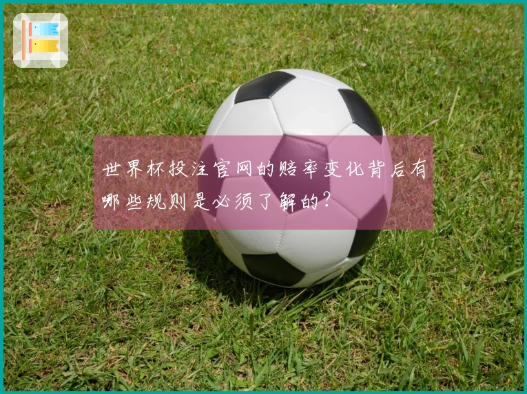 世界杯投注官网的赔率变化背后有哪些规则是必须了解的？