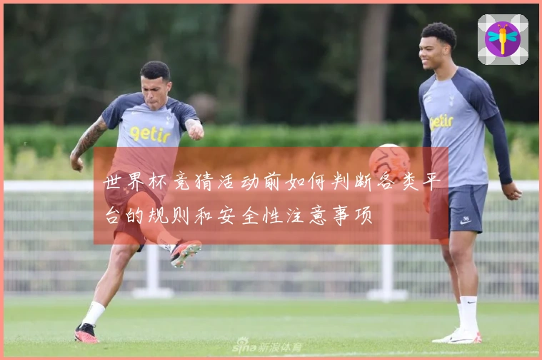 世界杯竞猜活动前如何判断各类平台的规则和安全性注意事项