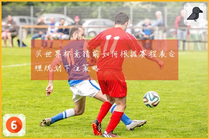 买世界杯竞猜前如何根据赛程表合理规划下注策略